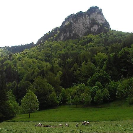 فيلا Drevenica U Michala Terchová المظهر الخارجي الصورة